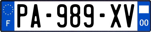 PA-989-XV