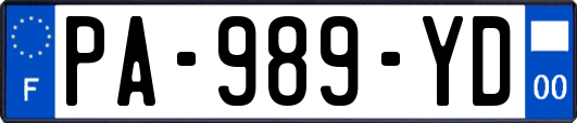 PA-989-YD