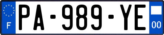 PA-989-YE