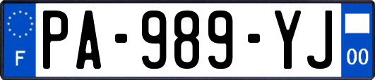PA-989-YJ