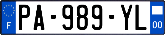 PA-989-YL