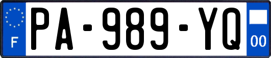 PA-989-YQ