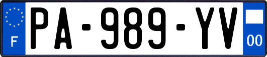 PA-989-YV