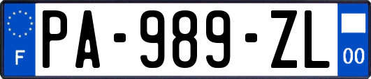 PA-989-ZL