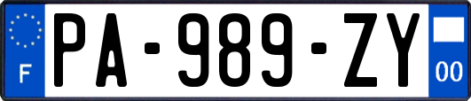 PA-989-ZY