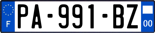 PA-991-BZ