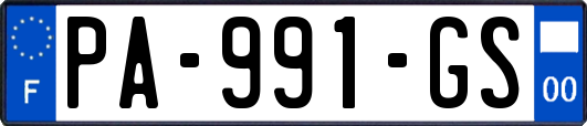PA-991-GS