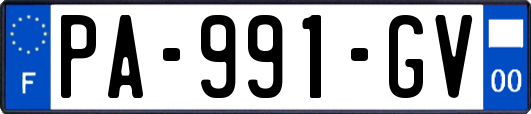 PA-991-GV