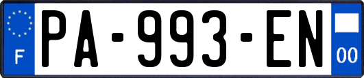 PA-993-EN