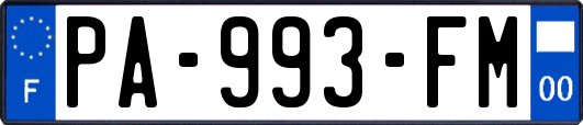 PA-993-FM