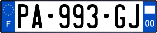 PA-993-GJ