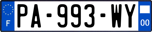 PA-993-WY