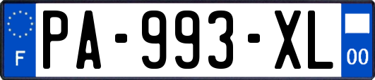 PA-993-XL