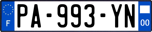 PA-993-YN