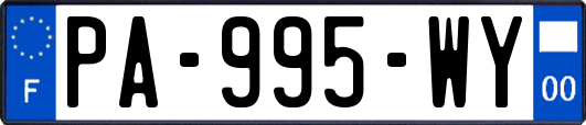 PA-995-WY