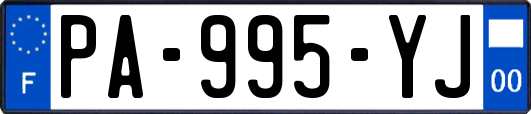 PA-995-YJ