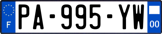 PA-995-YW