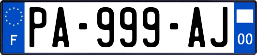 PA-999-AJ