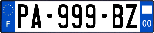 PA-999-BZ