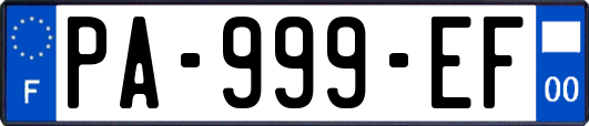 PA-999-EF