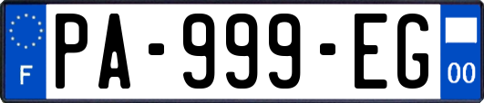 PA-999-EG