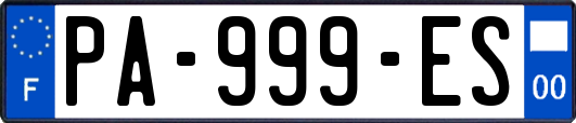 PA-999-ES