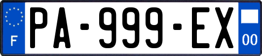 PA-999-EX