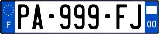 PA-999-FJ