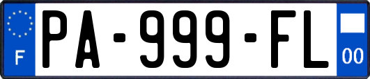 PA-999-FL