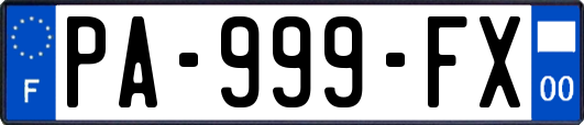 PA-999-FX