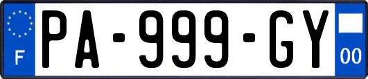 PA-999-GY