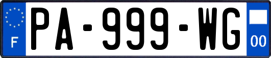 PA-999-WG