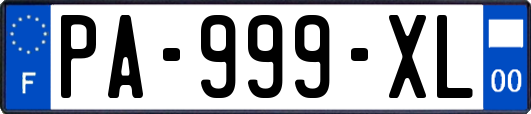 PA-999-XL