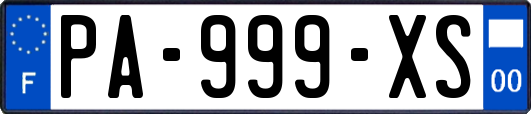 PA-999-XS