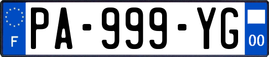 PA-999-YG