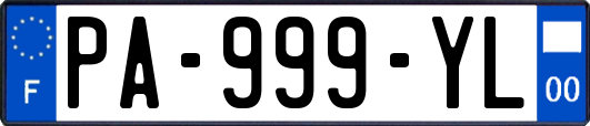 PA-999-YL