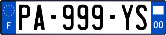 PA-999-YS