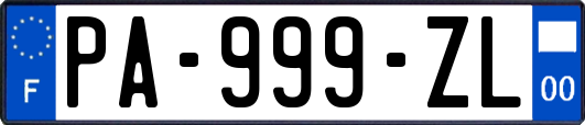 PA-999-ZL