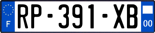 RP-391-XB
