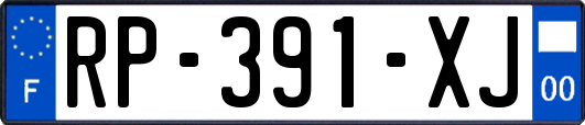 RP-391-XJ
