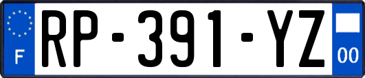RP-391-YZ