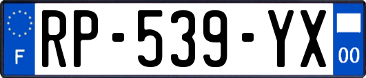 RP-539-YX