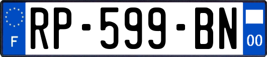 RP-599-BN