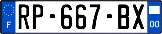 RP-667-BX