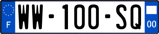 WW-100-SQ