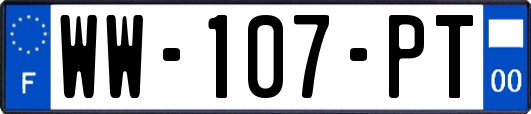 WW-107-PT