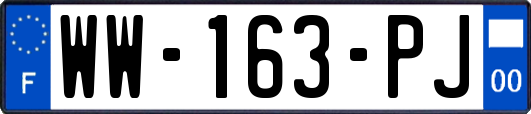 WW-163-PJ