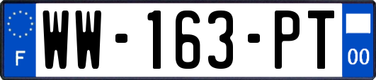 WW-163-PT