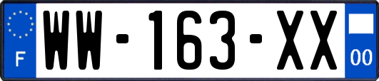 WW-163-XX