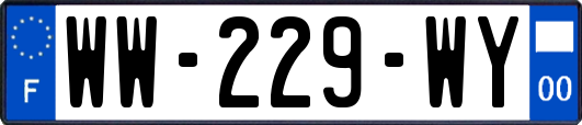 WW-229-WY